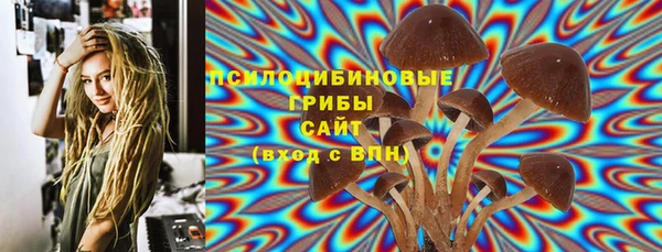 шишки Бугульма