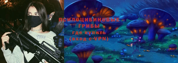 шишки Бугульма