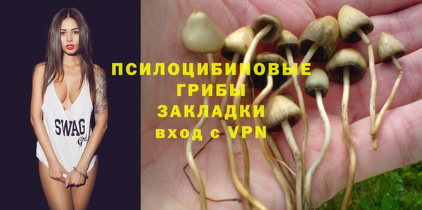 шишки Бугульма