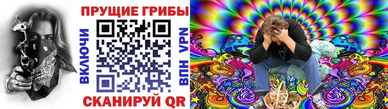 Галлюциногенные грибы Psilocybine cubensis  Купить закладки  Коломна 